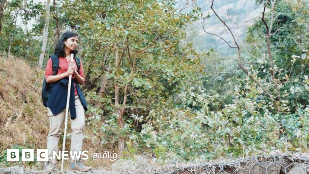 தமிழக வனப்பகுதிகளில் மலையேற்றத்திற்கு அனுமதி - அரசின் சூழல் சுற்றுலாவால் ஏற்படப்போகும் தாக்கங்கள்