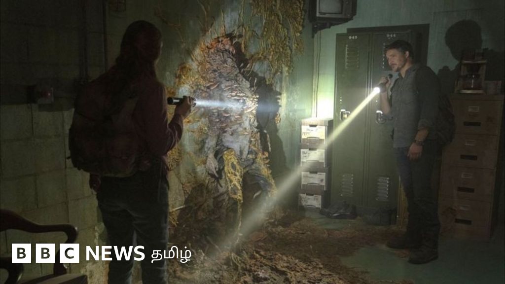 பூஞ்சைத் தொற்றால் மனிதர்களை ஜாம்பிகளாக மாற்ற முடியுமா?