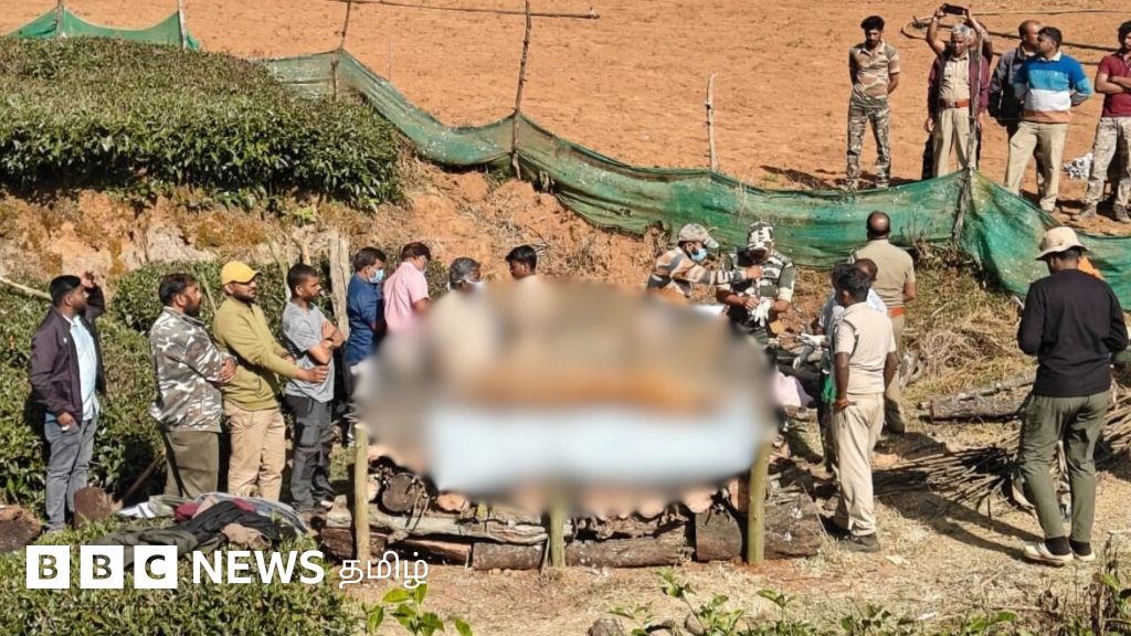 உதகையில் காயமடைந்து 2 நாட்களாக ஒரே இடத்தில் இருந்த புலிக்கு சிகிச்சை அளிக்காதது ஏன்?