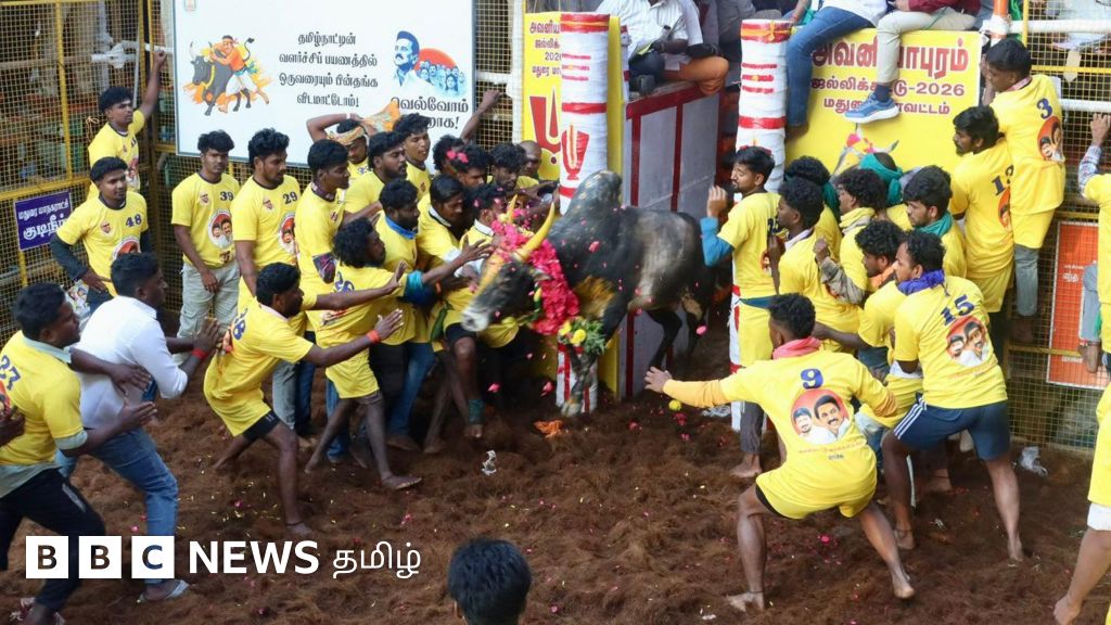 மதுரை அவனியாபுரம் ஜல்லிக்கட்டு தொடங்கியது - கள நிலவரம் என்ன?