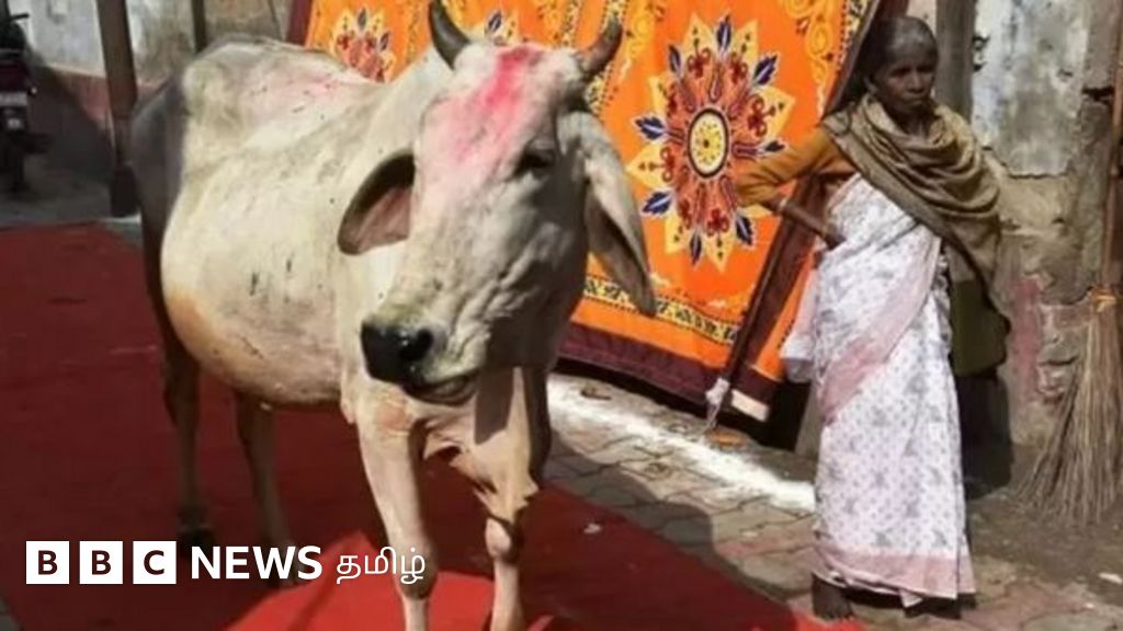 கர்நாடகாவில் பசு பாதுகாவலர்களால் கொல்லப்பட்ட இஸ்லாமியர் - தேர்தல் நேரத்தில் மாநில அரசியலில் வெடித்த சர்ச்சை