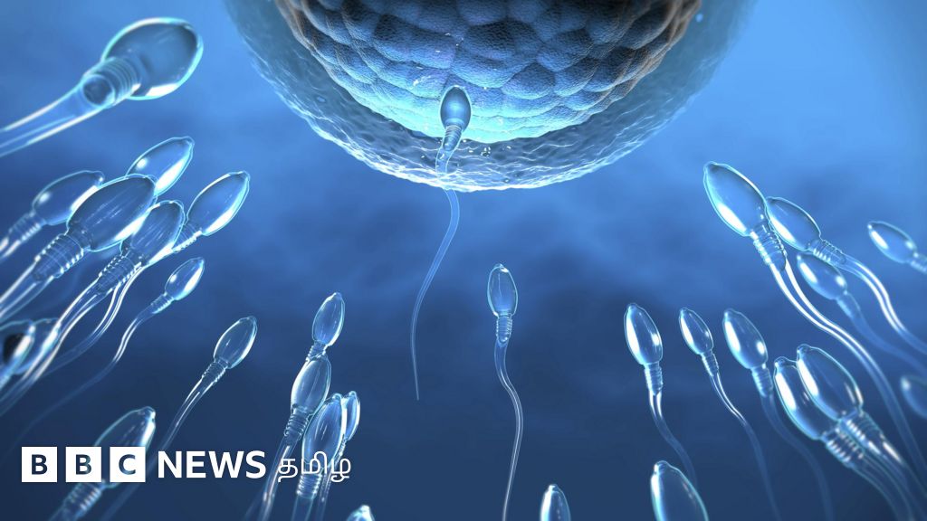 விந்தணுக்களின் எண்ணிக்கை ஏன் குறைகிறது? அதிகரிக்க என்ன செய்ய வேண்டும்?