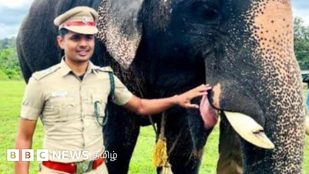 கோவை குற்றாலத்தில் போலி டிக்கெட் மூலம் ரூ.1 கோடி முறைகேடு? வனவரிடம் இருந்து ரூ.35 லட்சம் மீட்பு