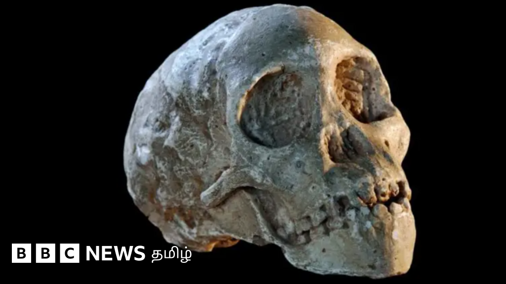 மனித இனம் ஆப்பிரிக்காவில் தோன்றியதாக கூறி கேலிக்கு ஆளான விஞ்ஞானி அதை நிரூபித்த கதை