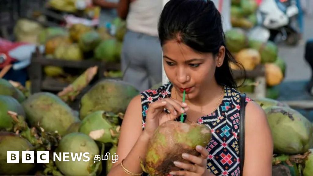 தேங்காய்க்குள் நீர் எப்படி வந்தது? – ஆச்சரியப்படுத்தும் உண்மை