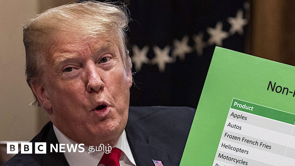 டிரம்பின் வரி விதிப்பு நடவடிக்கைகளால் எந்தெந்த நாடுகள் பாதிக்கப்படும்? - அமெரிக்கர்களுக்கும் கூட சிக்கலா?