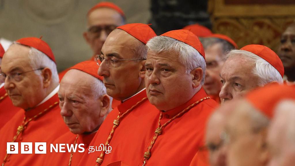 அடுத்த போப் ஆண்டவரை தேர்வு செய்யப் போகும் கார்டினல்கள் யார்? என்ன செய்வார்கள்?