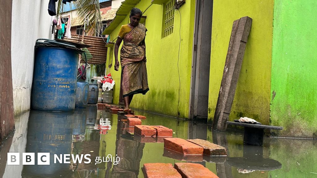 பிபிசி கள ஆய்வு: மழை நின்று 5 நாளான பிறகும் முதல்வர் ஸ்டாலினின் கொளத்தூர் தொகுதி நிலை இதுதான்...