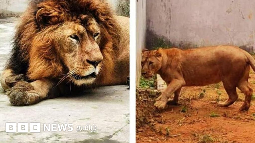 அக்பர், சீதா பெயர் சர்ச்சை - உயர் நீதிமன்றம் தலையிட்டது சரியா? சட்ட நிபுணர்கள் கூறுவது என்ன?