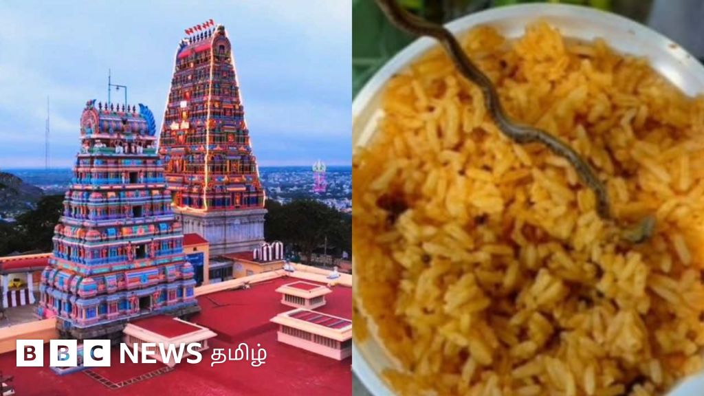 கோவில் புளியோதரையில் கிடந்த பாம்பு - ஓசூரில் நடந்தது என்ன? யார் காரணம்?
