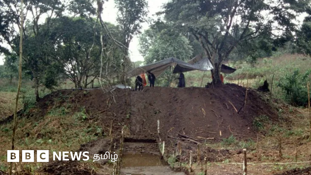 அமேசான் காட்டில் பிரமிக்க வைக்கும் வீடுகள், சாலைகளுடன் 2,500 ஆண்டுகள் பழைய நகரம்