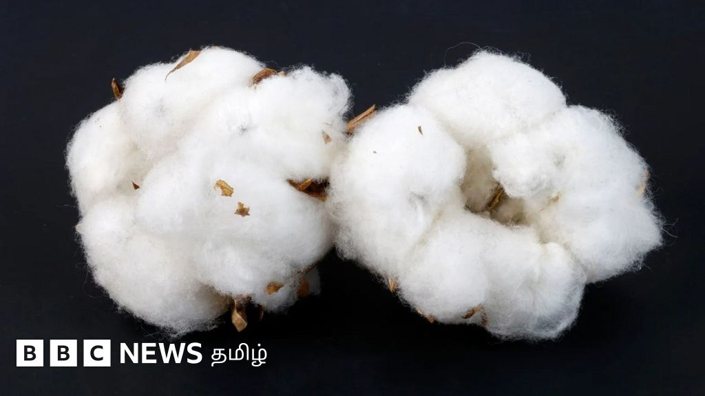 இ-பைக்குகளில் பயன்படுத்தும் பேட்டரிகளை பருத்தி, மருதாணியில் தயாரித்த விஞ்ஞானிகள்