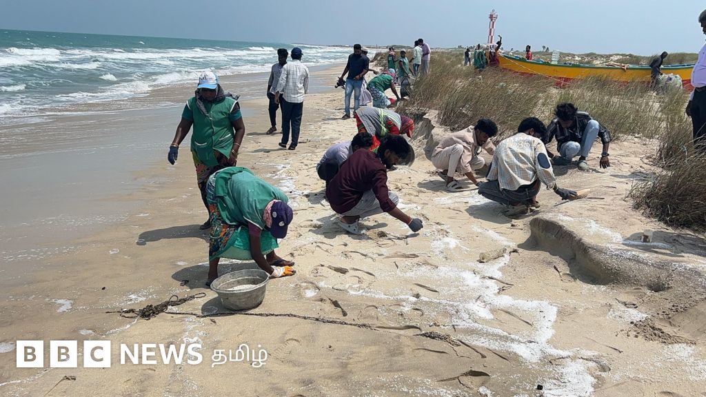 கேரளா அருகே மூழ்கிய கப்பலில் இருந்து பரவிய பொருட்களால் தனுஷ்கோடி மீனவர்கள் அச்சம் 
