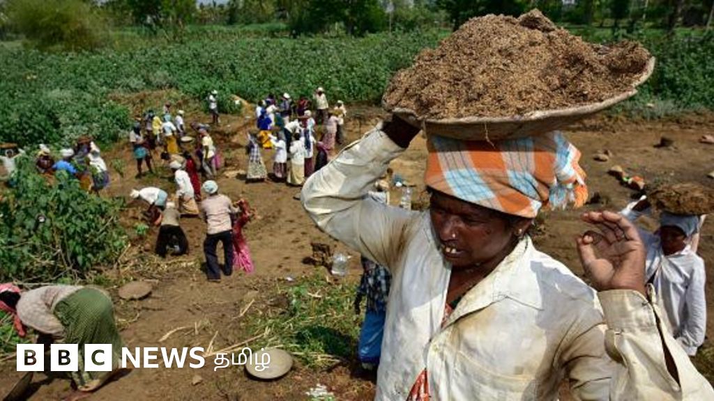 '100 நாள் வேலை திட்டத்தை மோதி அரசு திரிசூலம் கொண்டு தாக்குகிறது' - தமிழக அரசின் பொருளாதார ஆலோசகர் ஏன் இப்படி கூறினார்?