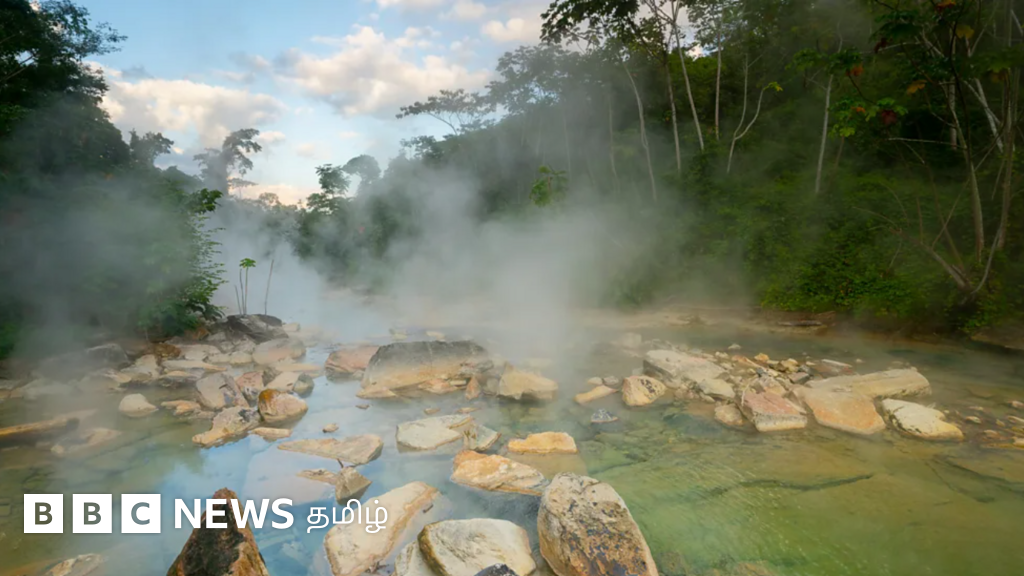 அமேசானின் 'கொதிக்கும் நதி': மனித குலத்தைப் பாதுகாப்பதற்கான ஒரு வழியாக ஆய்வாளர்கள் கருதுவது ஏன்?
