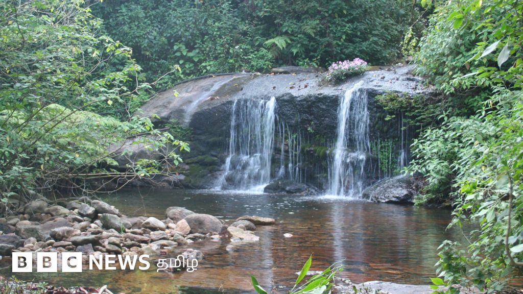 'மாஞ்சோலையை போல வால்பாறையில் இருந்தும் மக்களை வெளியேற்ற திட்டம்' - சுற்றுச்சூழல் உணர்திறன் மண்டலத்துக்கு எதிர்ப்பு