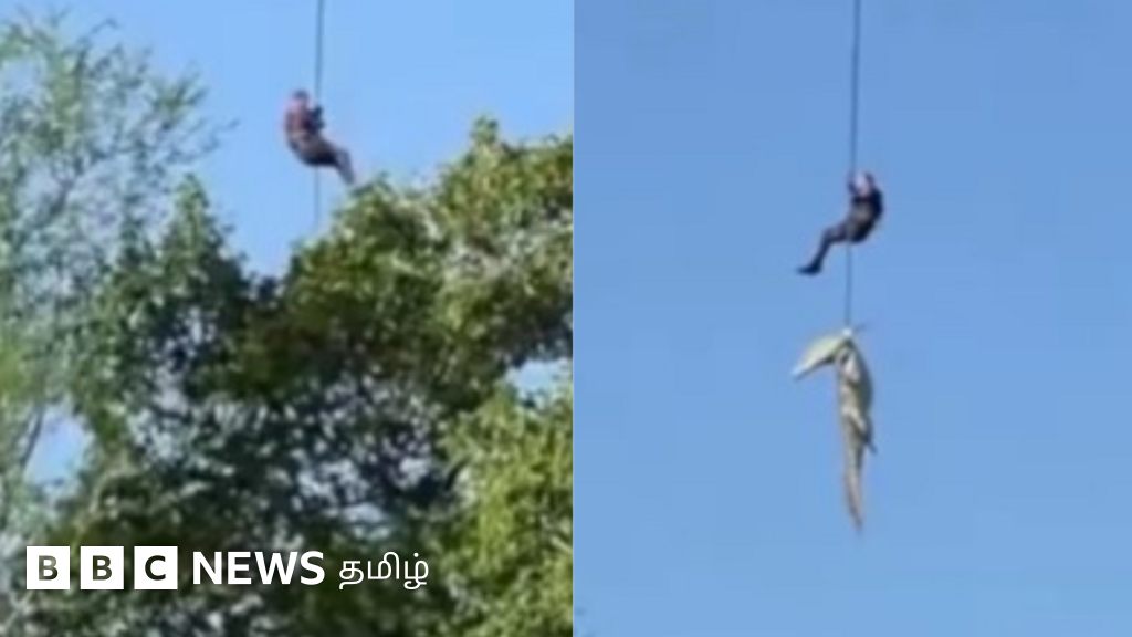 முதலைகள் நிறைந்த நதியில் 'ஆபத்தான' போலீஸ் ஆபரேஷன் – முதலை வயிற்றில் மீட்கப்பட்டது தொழிலதிபரின் உடலா?