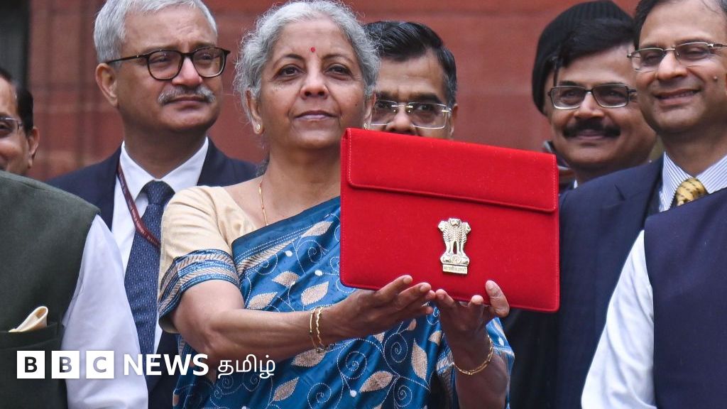 நரேந்திர மோதி வெகுவாகப் பாராட்டும் பட்ஜெட் பற்றி பொருளாதார நிபுணர்கள் சொல்வது என்ன?