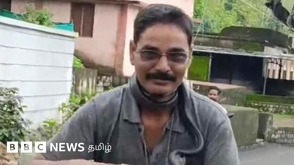 பாம்பை பிடித்து மாலை போல கழுத்தில் சுற்றியிருந்த நபர் - அதனிடமே கடிபட்டு இறந்த அவலம்