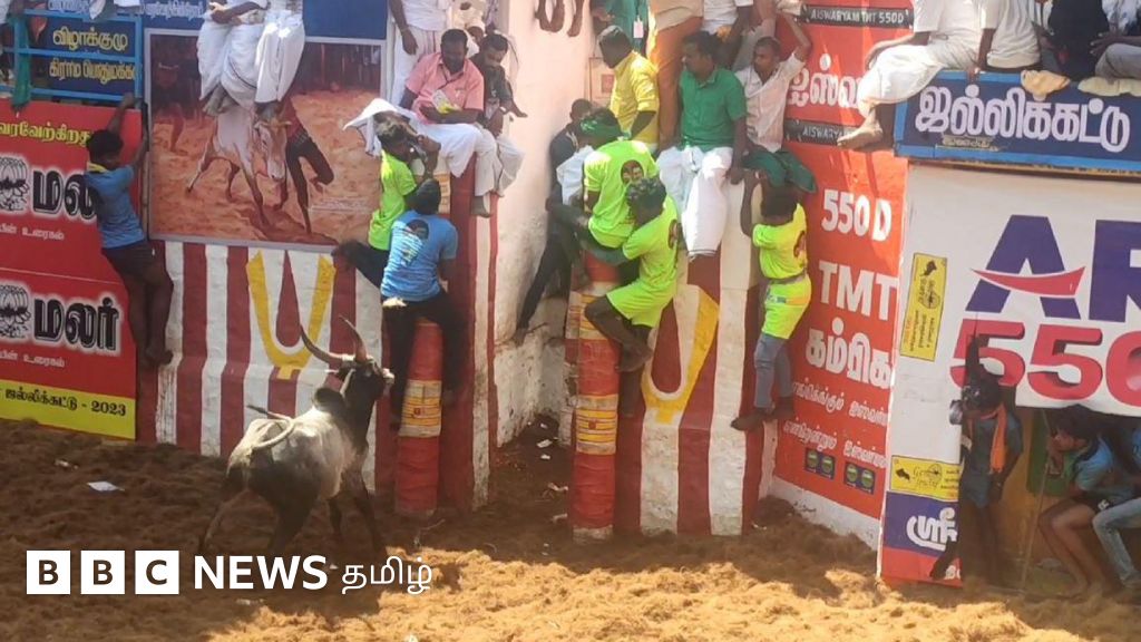 அலங்காநல்லூர் ஜல்லிக்கட்டு - மாட்டின் பேரை கேட்டு அலறிய மாடுபிடி வீரர்கள்