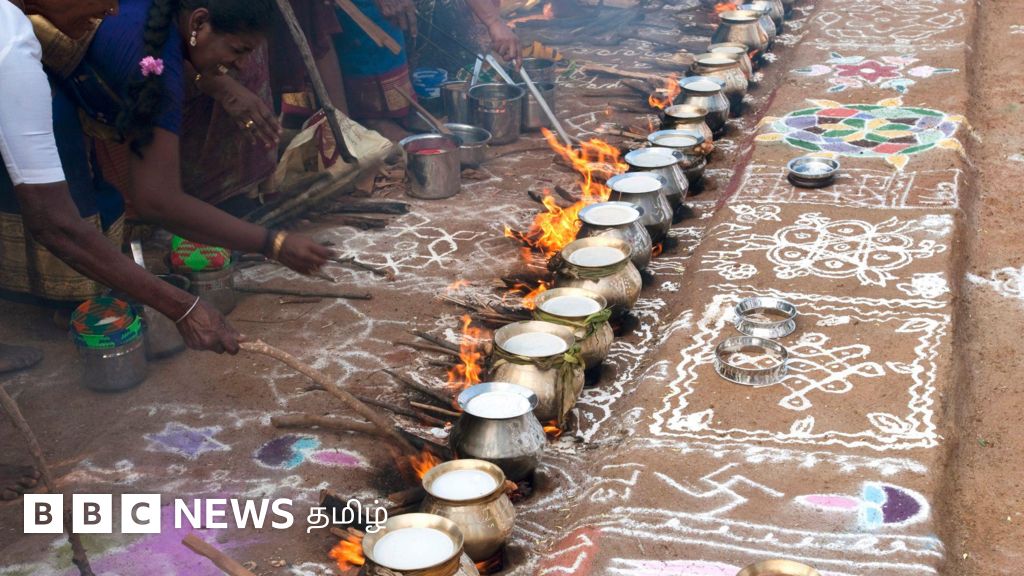 பொங்கல் பண்டிகையின் வரலாறு என்ன? சோழர் காலத்தில் பொங்கல் எப்படி கொண்டாடப்பட்டது?