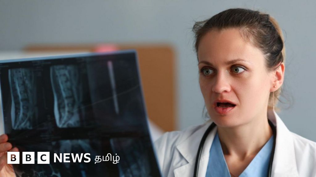 ஈ, சிலந்தியை தவறுதலாக விழுங்கிவிட்டால் உடலுக்குள் என்ன நடக்கும்? ஆய்வாளர்கள் எச்சரிப்பது என்ன?