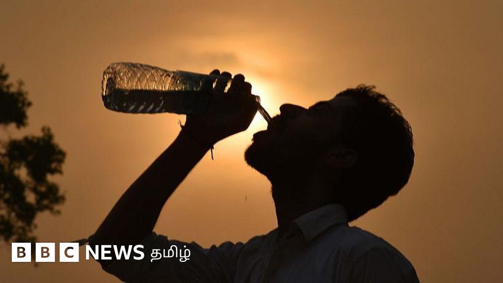 மக்களவைத் தேர்தலை பாதிக்கும் வெப்ப அலை - யாரெல்லாம் வெயிலில் செல்லக் கூடாது?