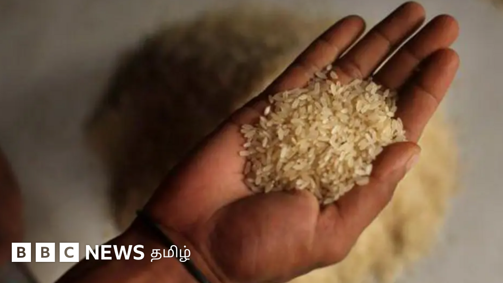 அரிசி எத்தனை நாட்கள் கெடாமல் இருக்கும்? 10 ஆண்டு பழைய அரிசியை சாப்பிடலாமா? 