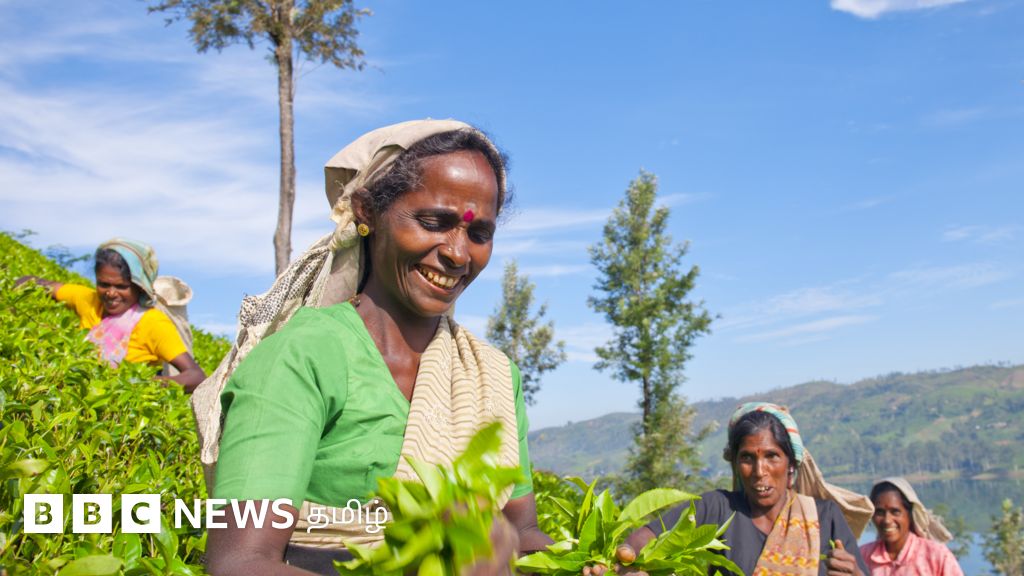 தமிழ்நாடு வேளாண் பட்ஜெட் 2023-24: வரவேற்பும் ஏமாற்றமும்