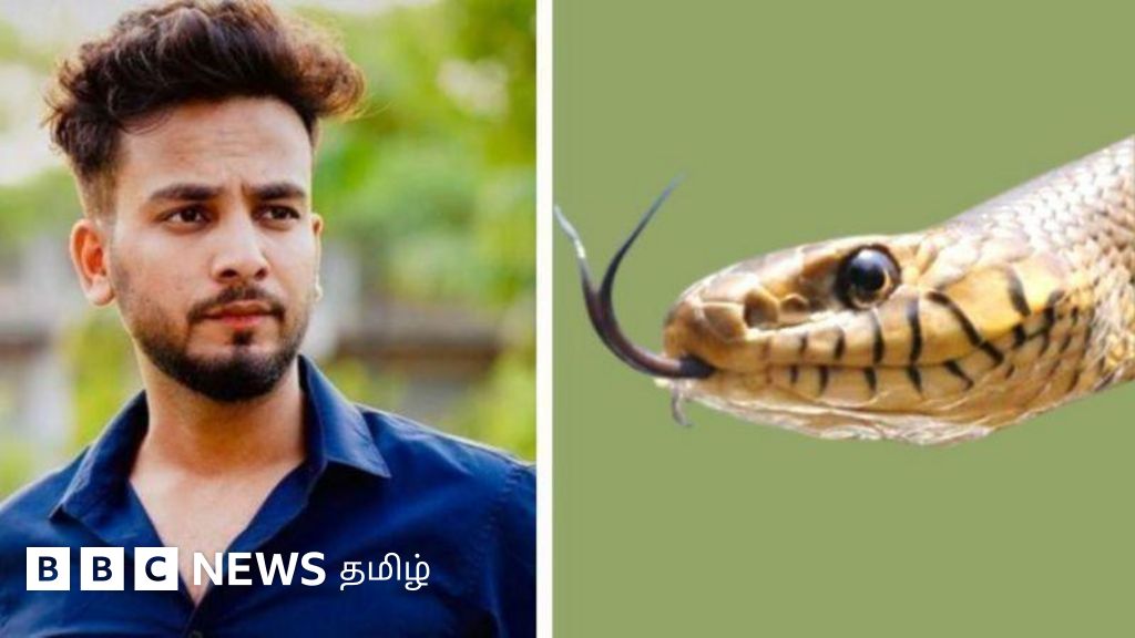 போதை விருந்துகளில் பாம்பு விஷம் ஏன்? மார்ஃபின், ஓபியத்தை விட பாம்புக்கடி போதை தருமா? 