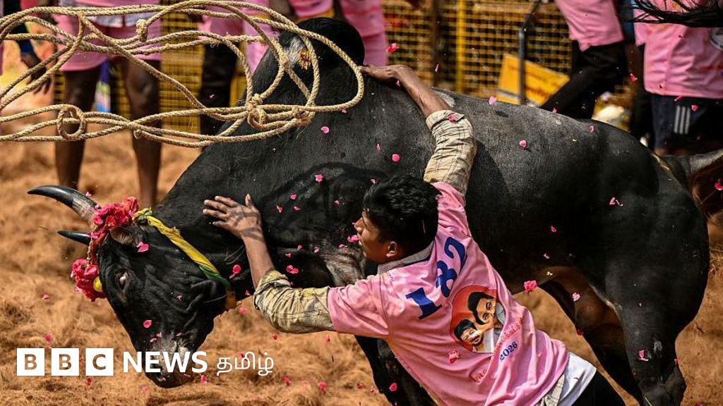 'குடும்பத்தில் பிரச்னை.. அரசு வேலைக்கு ஆபத்து' -  ஜல்லிக்கட்டு வழக்கில் 8 ஆண்டுக்கு பிறகு விடுவிக்கப்பட்ட 56 பேர்