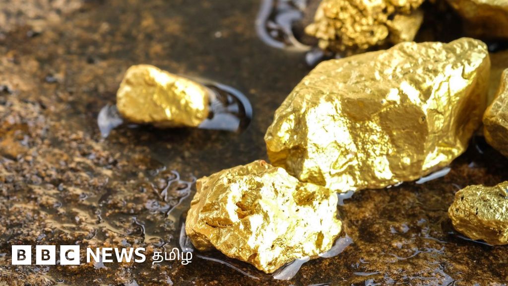 திருவண்ணாமலையில் நிலத்துக்கு அடியில் தங்கம் இருக்கிறதா? உண்மை என்ன?