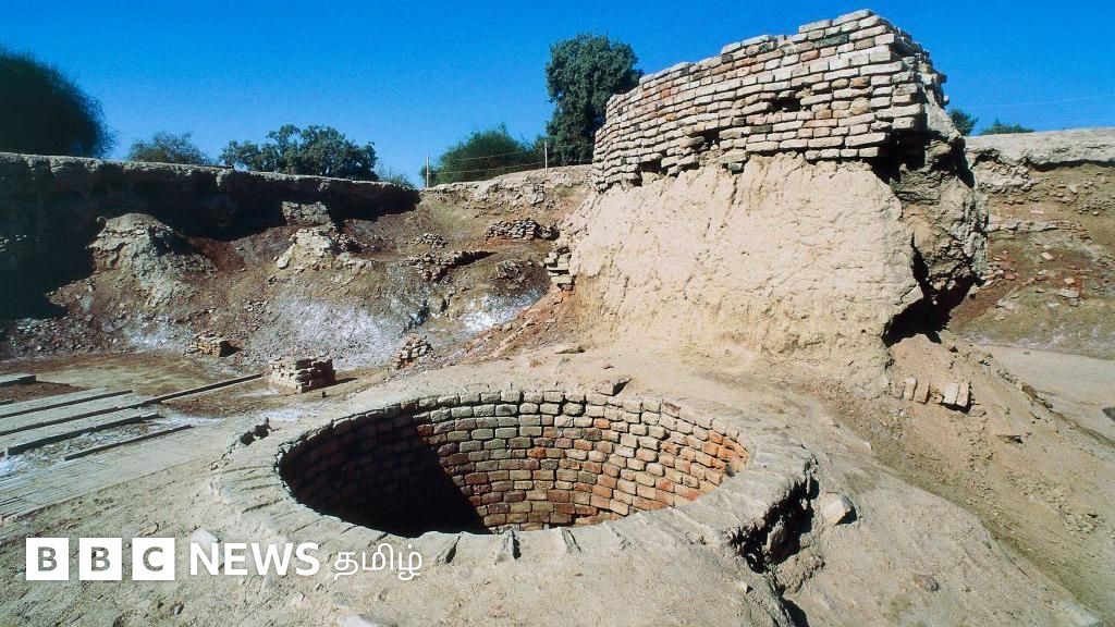 சிந்து சமவெளி நாகரிகம் முடிவுக்கு வர என்ன காரணம்? ஆய்வில் புதிய தகவல்