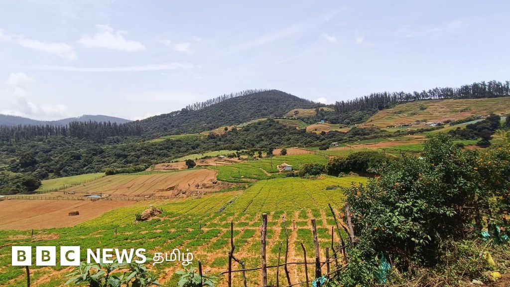 நீலகிரியில் காணாமல் போன நீர்நிலை: பார்ன் பூட் ஏரிக்கு என்ன ஆனது? (காணொளி)