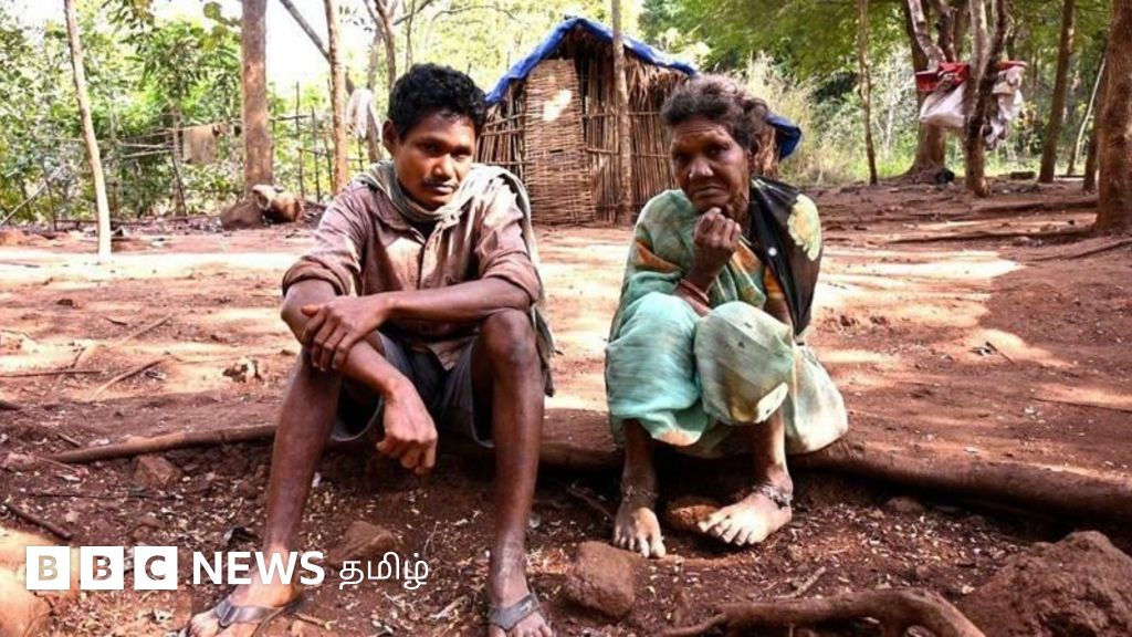 அடர் வனத்தில் தனியே வசிக்கும் குடும்பம் - வெளியாட்களை கண்டால் ஓடி ஒளியும் குடும்பத்தலைவர்
