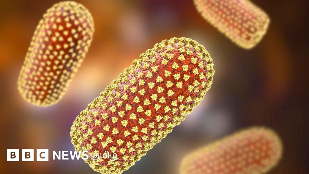 தமிழ்நாட்டிலும் சந்திபுரா வைரஸ் பாதிப்பா? எப்படிப் பரவுகிறது? மருந்து உண்டா? - 10 தகவல்கள்