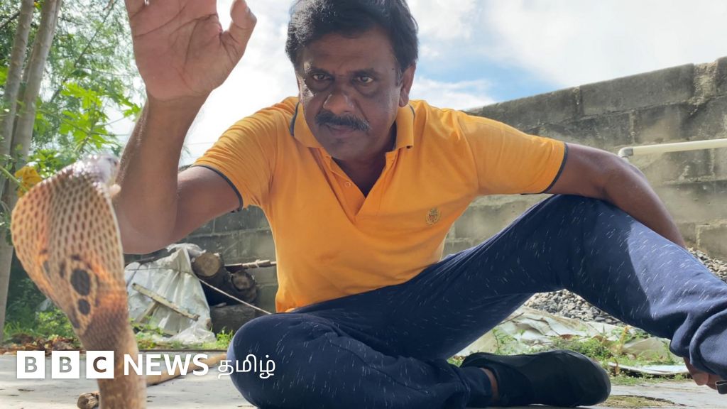 5000 பாம்புகளை மீட்டிருக்கும் தந்தை, மகள் : சினிமா ஒளிப்பதிவாளர் சமூக ஆர்வலராக மாறியது எப்படி?