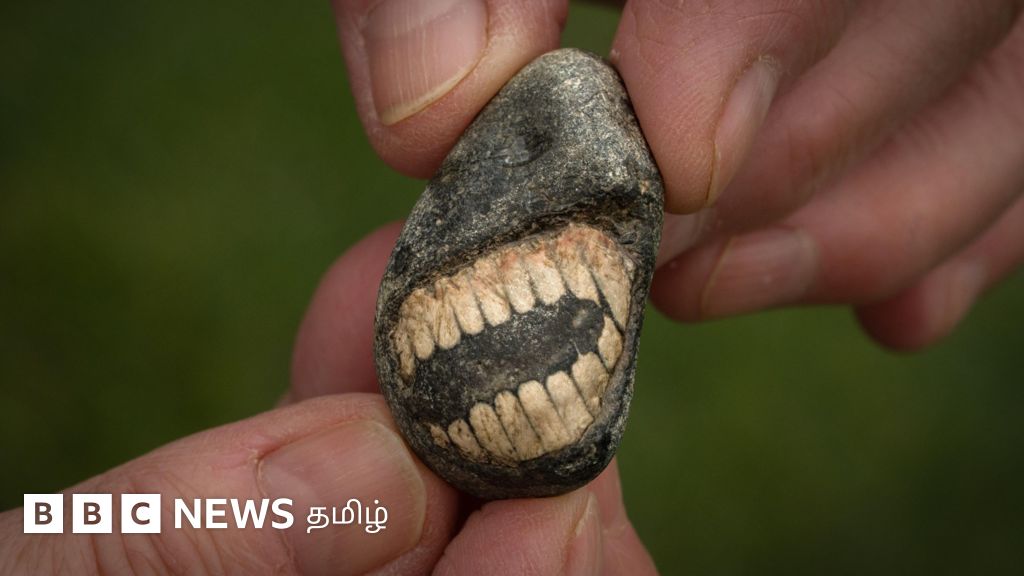 புனித தீவில் கிடைத்த 'புன்னகைக்கும்' புதைபடிவம் - என்ன தெரியுமா? 