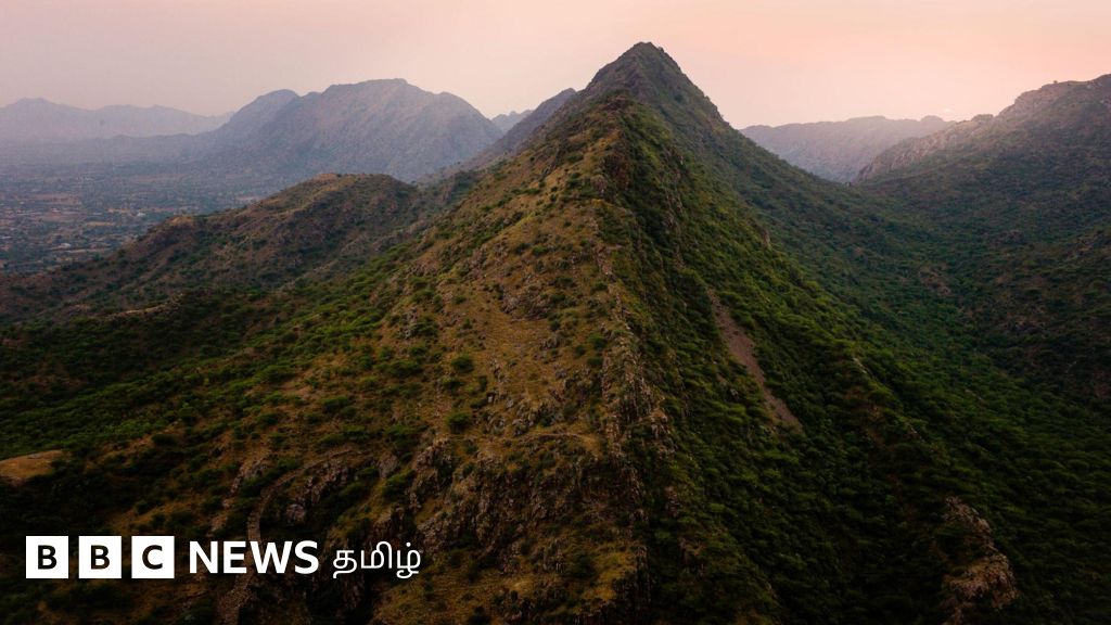 ஆரவல்லி மலைத்தொடரில் புதிய சுரங்க குத்தகைக்கு தடை - மத்திய அரசின் அறிவிப்பு என்ன?
