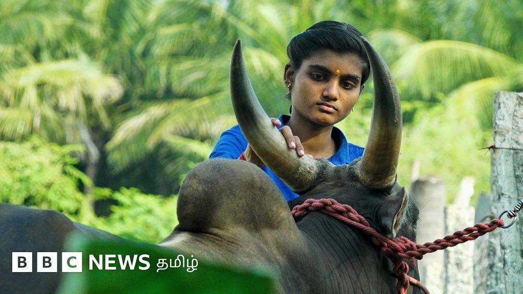 ஜல்லிக்கட்டில் இழந்த வெற்றியை மீண்டும் பெறக் காத்திருக்கும் மதுரை மாணவி