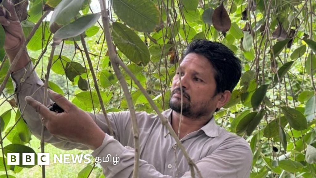 வறுமையால் 'விற்பனைக்கு' இருந்த கிராமம் இன்று செல்வம் கொழிக்கும் இடமாக மாறியது எப்படி?