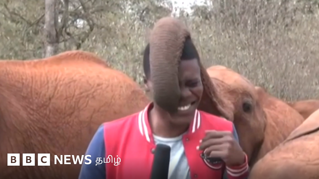 2022இல் செய்திகளில் இடம் பிடித்த நகைச்சுவைத் தருணங்கள்