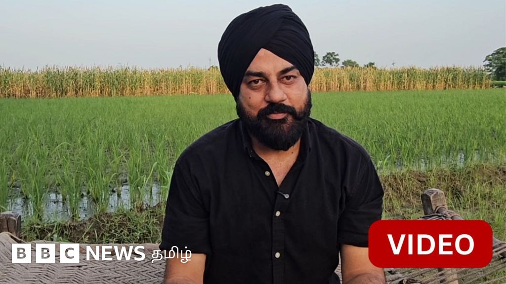 காணொளி: பறவைகள் சாப்பிட வயலில் தனியே சிறுதானியம் பயிரிடும் 'பானை மாஸ்டர்'