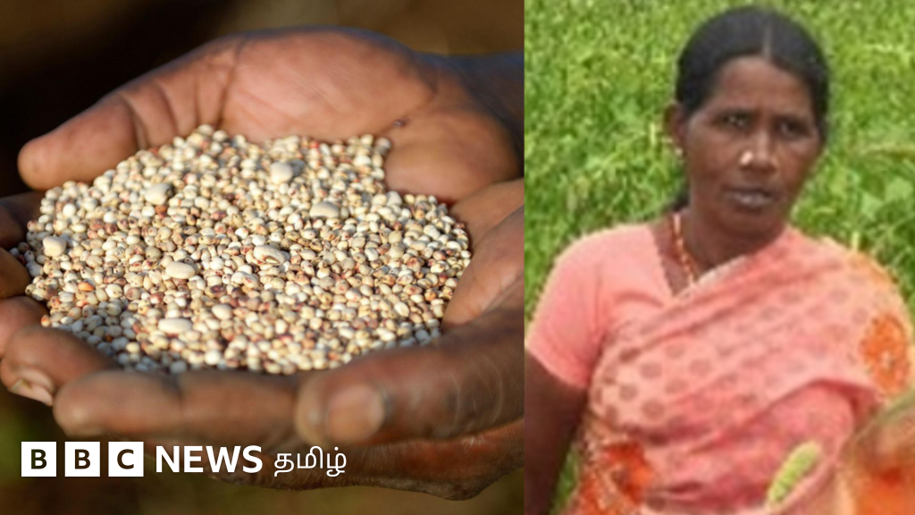 கொல்லிமலை பழங்குடிகளின் உணவுமுறையையே மாற்றிய காலநிலை மாற்றம் - ஆய்வில் தெரிய வந்த உண்மை
