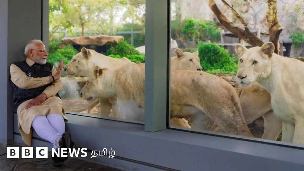 அம்பானி குடும்பம் நடத்தும் உயிரியல் பூங்காவில் என்ன முறைகேடு? -  விசாரிக்க குழு அமைத்த உச்ச நீதிமன்றம்