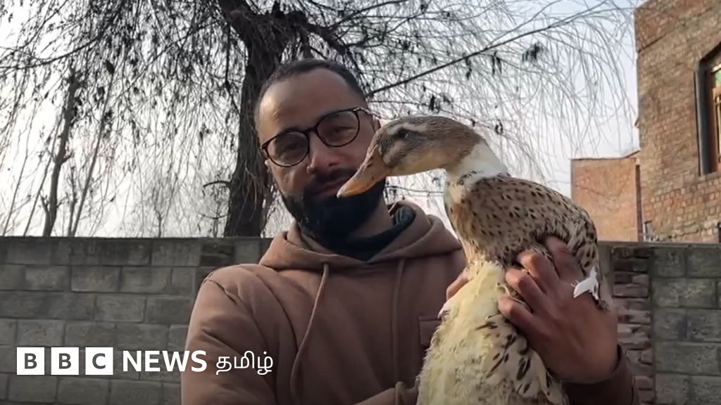 வாத்துகளுக்கு பறக்க கற்றுத்தரும் காஷ்மீர் இளைஞர்