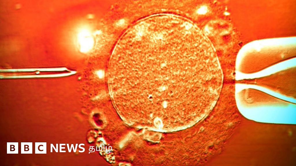 புற்றுநோய் உண்டாக்கும் மரபணு கொண்ட நபர் மூலம் பிறந்த சுமார் 200 குழந்தைகள் - என்ன நேர்ந்தது?