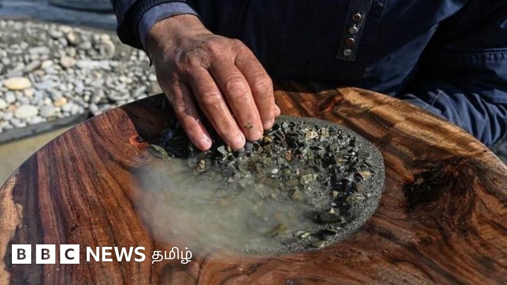 'ஒரு நாளைக்கு 7 கிராம் தங்கம்': இந்த பாகிஸ்தான் நதியில் தங்கம் எடுப்பவர்கள் எப்படி இருக்கிறார்கள்?