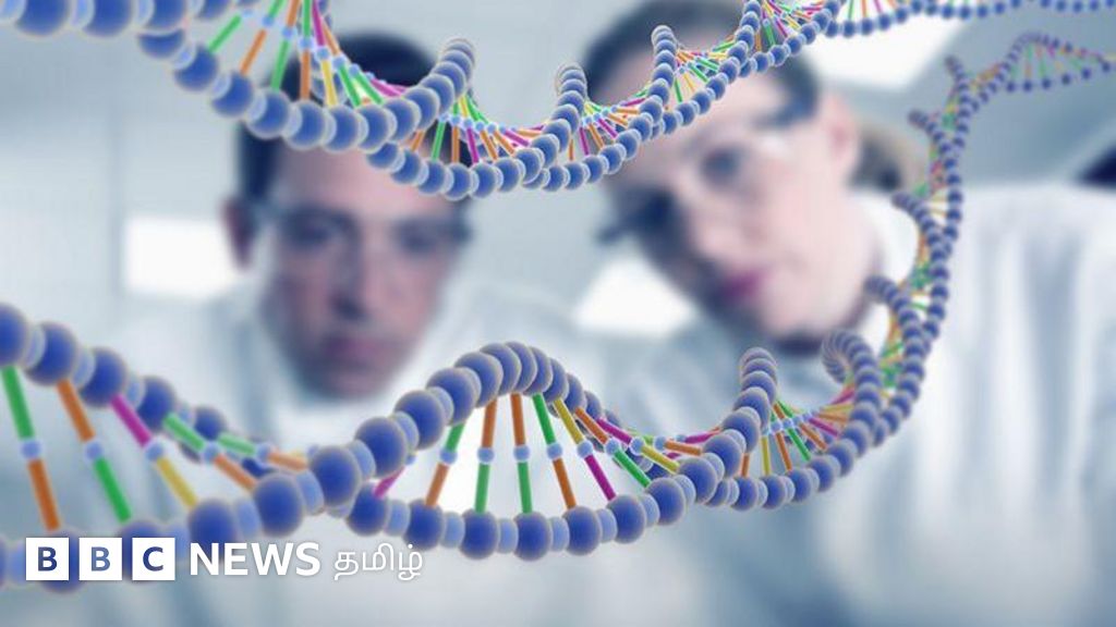 அழிவை நோக்கி 'Y' குரோமோசோம் - ஆண்கள் என்ன ஆவார்கள்?