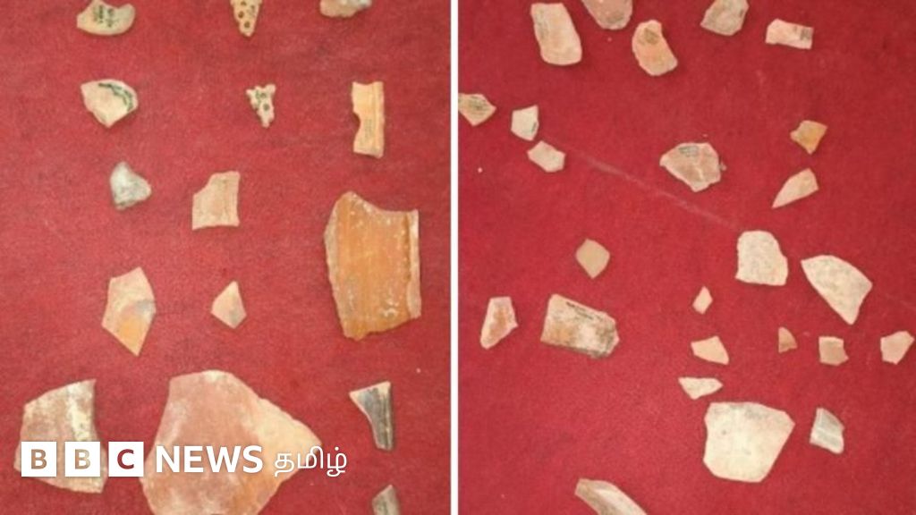 குஜராத்தில் தங்கத்தை தேடி தோண்டியபோது கிடைத்தவை, மனித வரலாற்றை மாற்றும் பொக்கிஷங்களா?